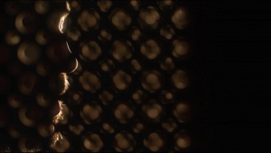 THE NAKED LEADING THE BLIND